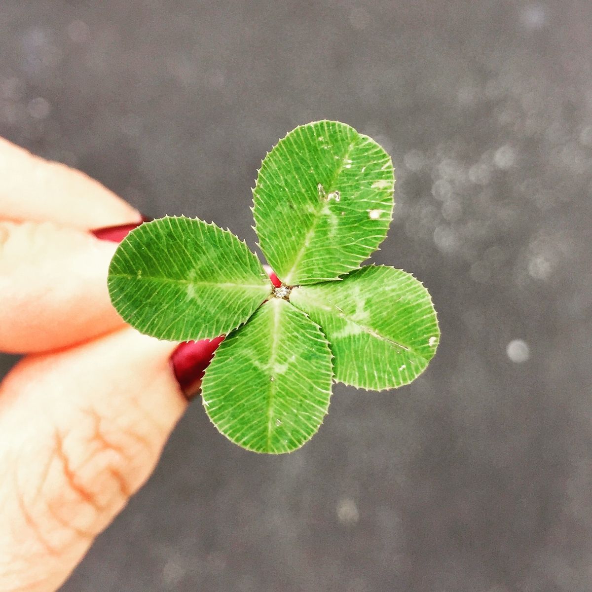 Lucky Charms & Spiritual Items